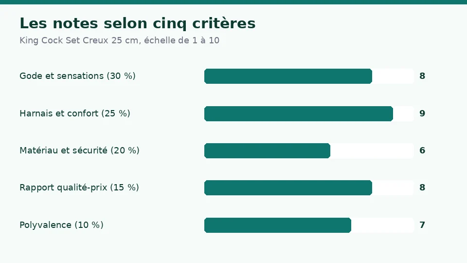 Notes de King Cock Set Creux 25 cm selon cinq critères : 8 pour le gode et les sensations, 9 pour le harnais et le confort, 6 pour le matériau et la sécurité, 8 pour le rapport qualité-prix et 7 pour la polyvalence