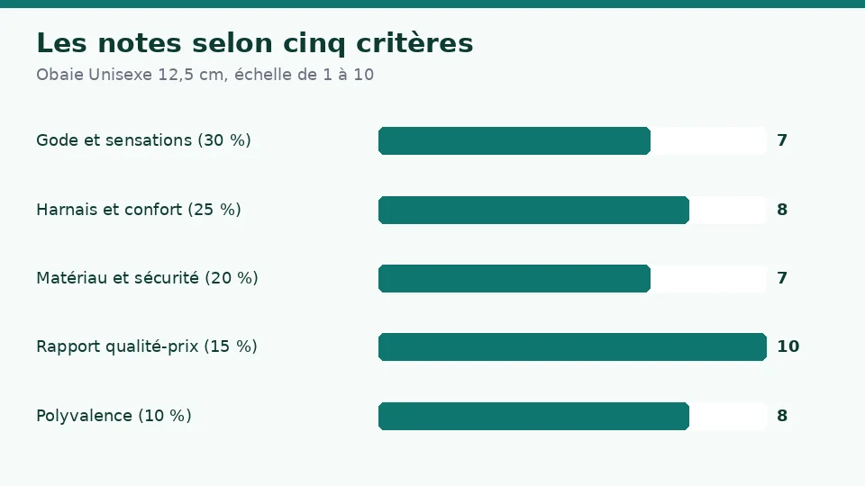 Notes de Obaie Unisexe 12,5 cm selon cinq critères : 7 pour le gode et les sensations, 8 pour le harnais et le confort, 7 pour le matériau et la sécurité, 10 pour le rapport qualité-prix et 8 pour la polyvalence