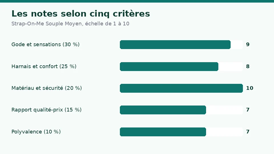 Notes de Strap-On-Me Souple Moyen selon cinq critères : 9 pour le gode et les sensations, 8 pour le harnais et le confort, 10 pour le matériau et la sécurité, 7 pour le rapport qualité-prix et 7 pour la polyvalence