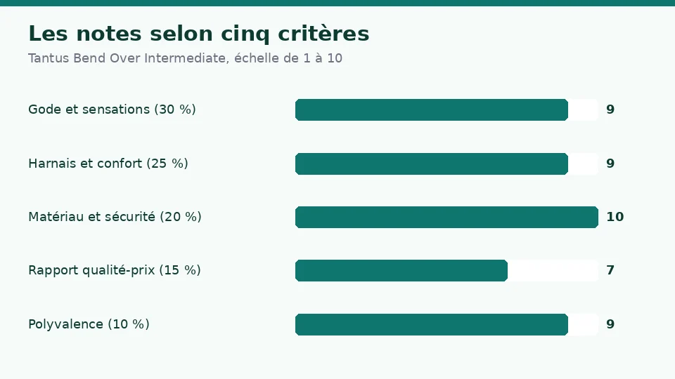 Notes de Tantus Bend Over Intermediate selon cinq critères : 9 pour le gode et les sensations, 9 pour le harnais et le confort, 10 pour le matériau et la sécurité, 7 pour le rapport qualité-prix et 9 pour la polyvalence